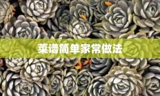 菜谱简单家常做法