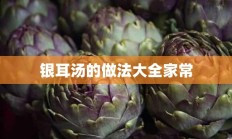 银耳汤的做法大全家常