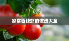 家常香辣虾的做法大全