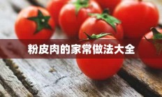 粉皮肉的家常做法大全