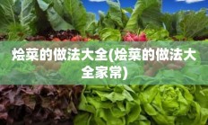 烩菜的做法大全(烩菜的做法大全家常)