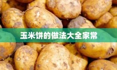 玉米饼的做法大全家常