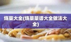 烧菜大全(烧菜菜谱大全做法大全)