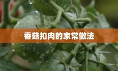 香菇扣肉的家常做法