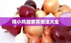 烧小鸡腿家常做法大全