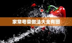 家常粤菜做法大全有图