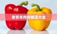 家常羊肉的做法大全