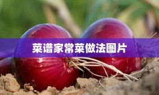 菜谱家常菜做法图片