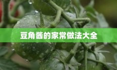 豆角酱的家常做法大全