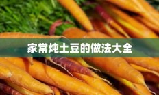 家常炖土豆的做法大全