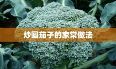 炒圆茄子的家常做法