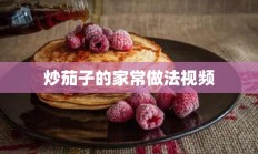 炒茄子的家常做法视频