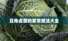 豆角卤面的家常做法大全