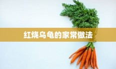 红烧乌龟的家常做法