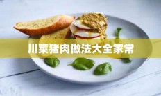 川菜猪肉做法大全家常