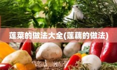 莲菜的做法大全(莲藕的做法)