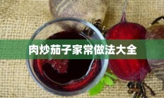 肉炒茄子家常做法大全