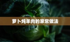 萝卜炖羊肉的家常做法