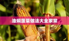 油焖菠菜做法大全家常