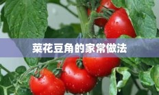 菜花豆角的家常做法