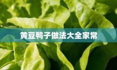 黄豆鸭子做法大全家常