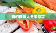 肉的做法大全家常菜