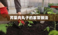 芹菜肉丸子的家常做法