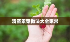 清蒸素菜做法大全家常