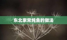 东北家常炖鱼的做法