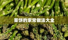 莱饼的家常做法大全