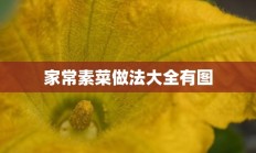 家常素菜做法大全有图