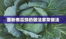 面粉南瓜饼的做法家常做法