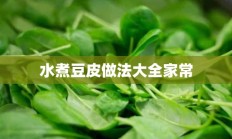 水煮豆皮做法大全家常