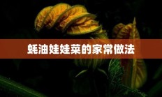 蚝油娃娃菜的家常做法