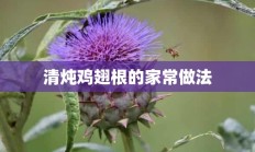 清炖鸡翅根的家常做法