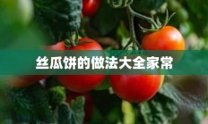 丝瓜饼的做法大全家常