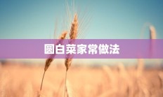 圆白菜家常做法