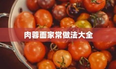 肉蓉面家常做法大全