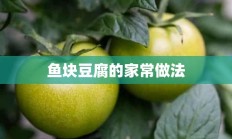 鱼块豆腐的家常做法