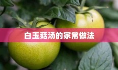 白玉菇汤的家常做法