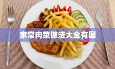 家常肉菜做法大全有图