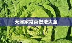 天津家常菜做法大全