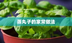 蒸丸子的家常做法