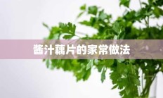 酱汁藕片的家常做法