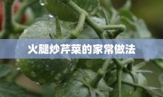 火腿炒芹菜的家常做法