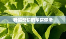 糖醋茄饼的家常做法