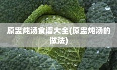 原盅炖汤食谱大全(原盅炖汤的做法)