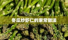 冬瓜炒虾仁的家常做法