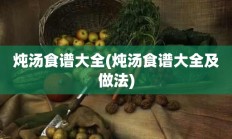 炖汤食谱大全(炖汤食谱大全及做法)