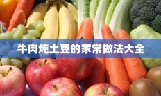 牛肉炖土豆的家常做法大全